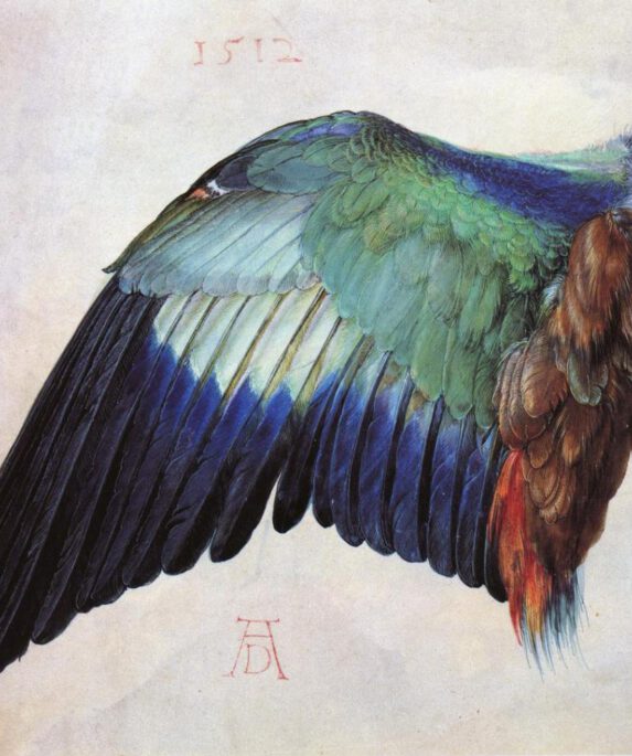 albrect durer